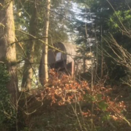 Unique & Serene 1-bed Close To Domfront (Orne)