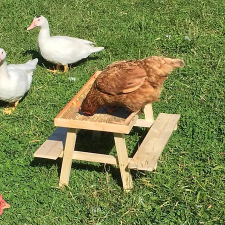 Ferienhaus Unique & Serene 1-bed Close To