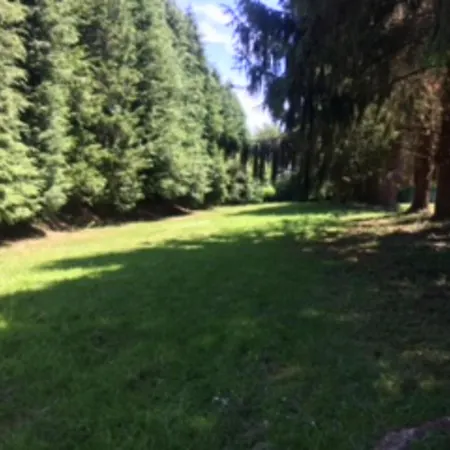 Ferienhaus Unique & Serene 1-bed Close To