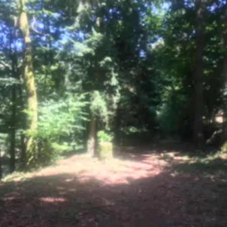 Unique & Serene 1-bed Close To Domfront (Orne)