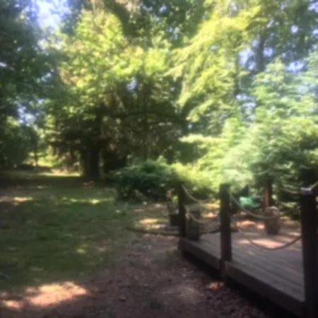 Unique & Serene 1-bed Close To Ferienhaus