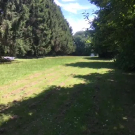 Unique & Serene 1-bed Close To Ferienhaus *