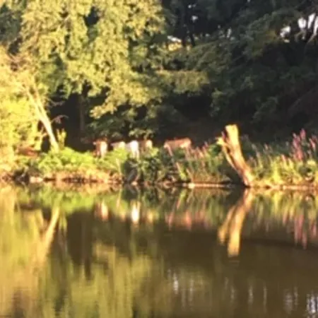 Unique & Serene 1-bed Close To