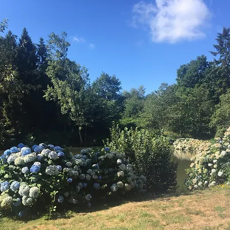 Unique & Serene 1-bed Close To * Domfront (Orne)