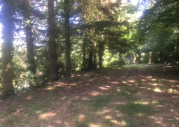 Semesterbostad Unique & Serene 1-bed Close To *