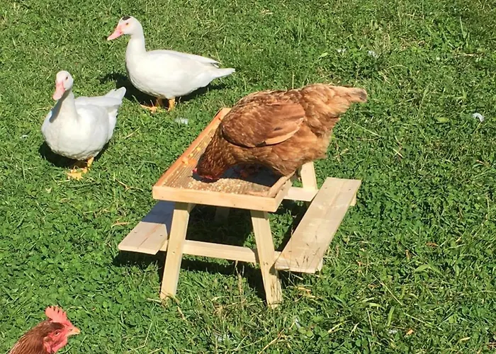 Semesterbostad Unique & Serene 1-bed Close To