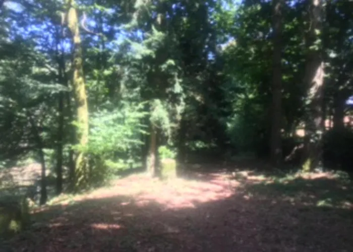 Unique & Serene 1-bed Close To Domfront (Orne)