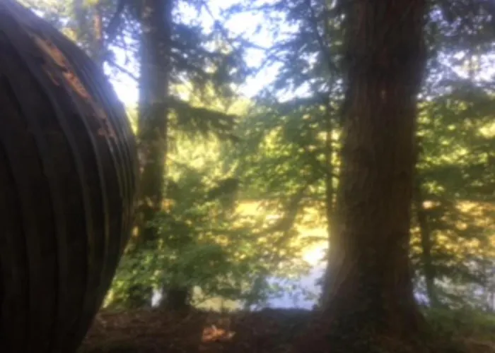 Unique & Serene 1-bed Close To