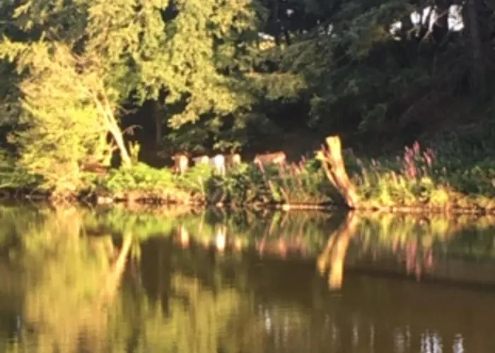 Unique & Serene 1-bed Close To