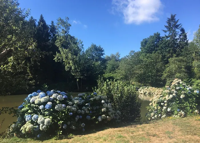 Unique & Serene 1-bed Close To * Domfront (Orne)